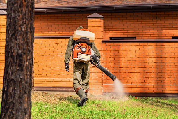 Trusted Emergency Pest Control service in Paramount-Long Meadow, MD - Nex Pest Control